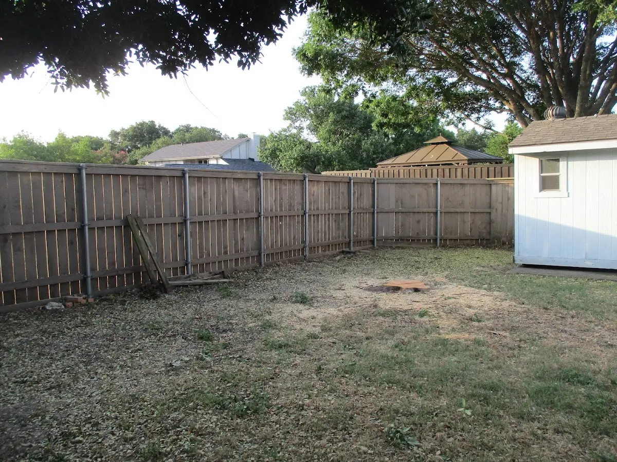 Cleared yard after professional tree removal in Gig Harbor